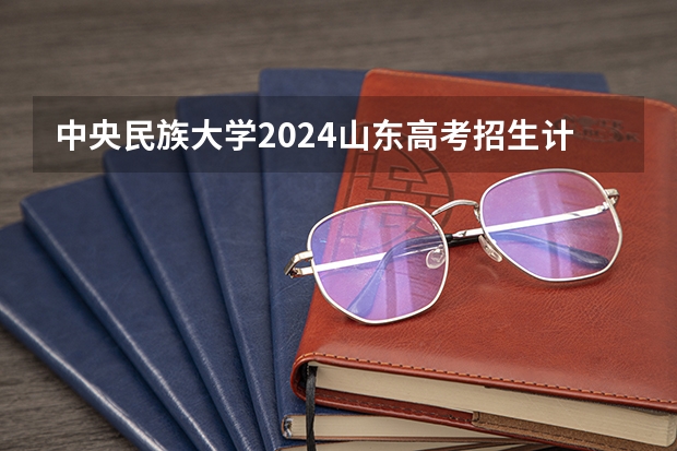 中央民族大学2024山东高考招生计划介绍