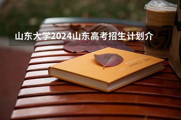 山东大学2024山东高考招生计划介绍