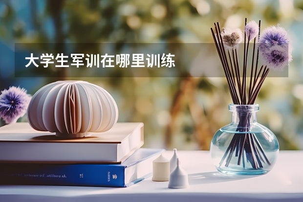 大学生军训在哪里训练